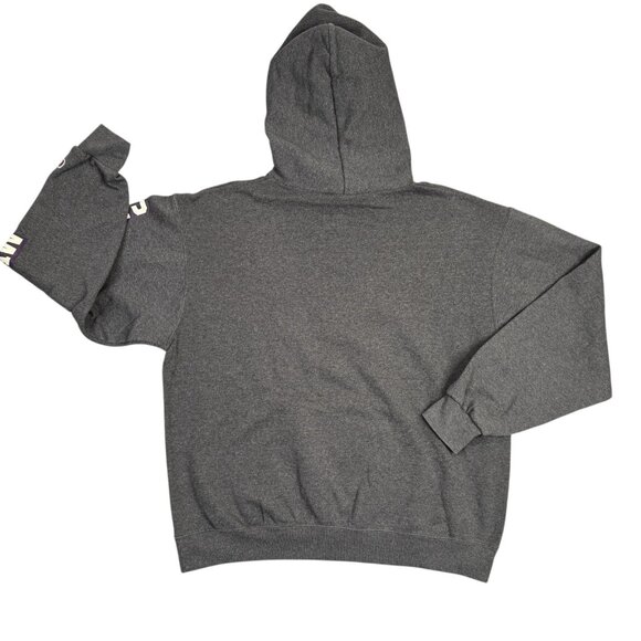 Capital Law School Hoodie Sweatshirt Large Gray Pullover Champion Eco Fleece - Picture 2 of 11